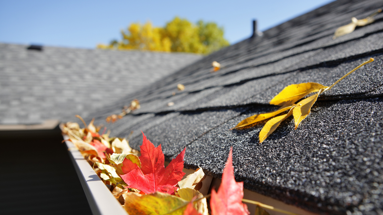 How to Protect Your Illinois Roof from Falling Leaves and Debris This Fall