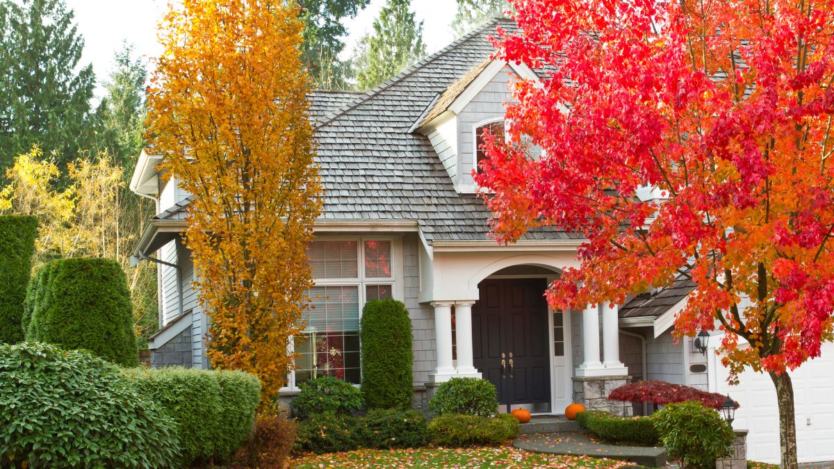 A charming house amidst bright fall leaves, highlighting the significance of securing roofs and windows during heavy autumn rains.