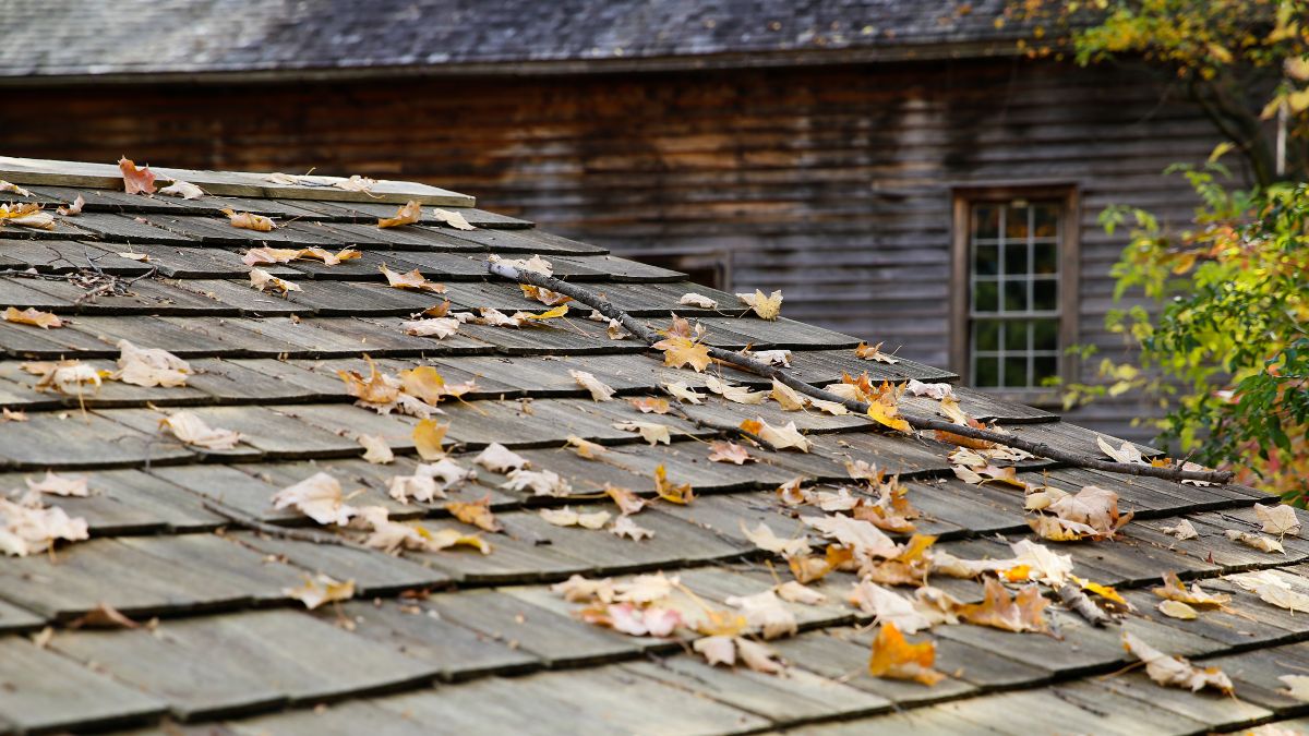 A wooden house with a roof covered in leaves, illustrating the effects of Illinois' fall weather on roof maintenance.