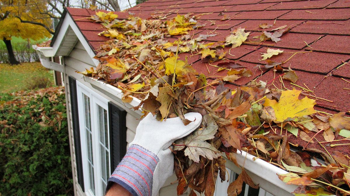 A homeowner removes leaves from a roof, highlighting essential January maintenance for Illinois residences